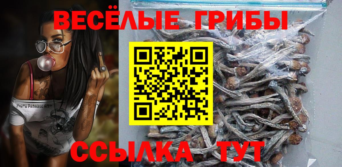 Братск  закладка  Вход с VPN  Псилоцибиновые грибы Magic Shrooms 